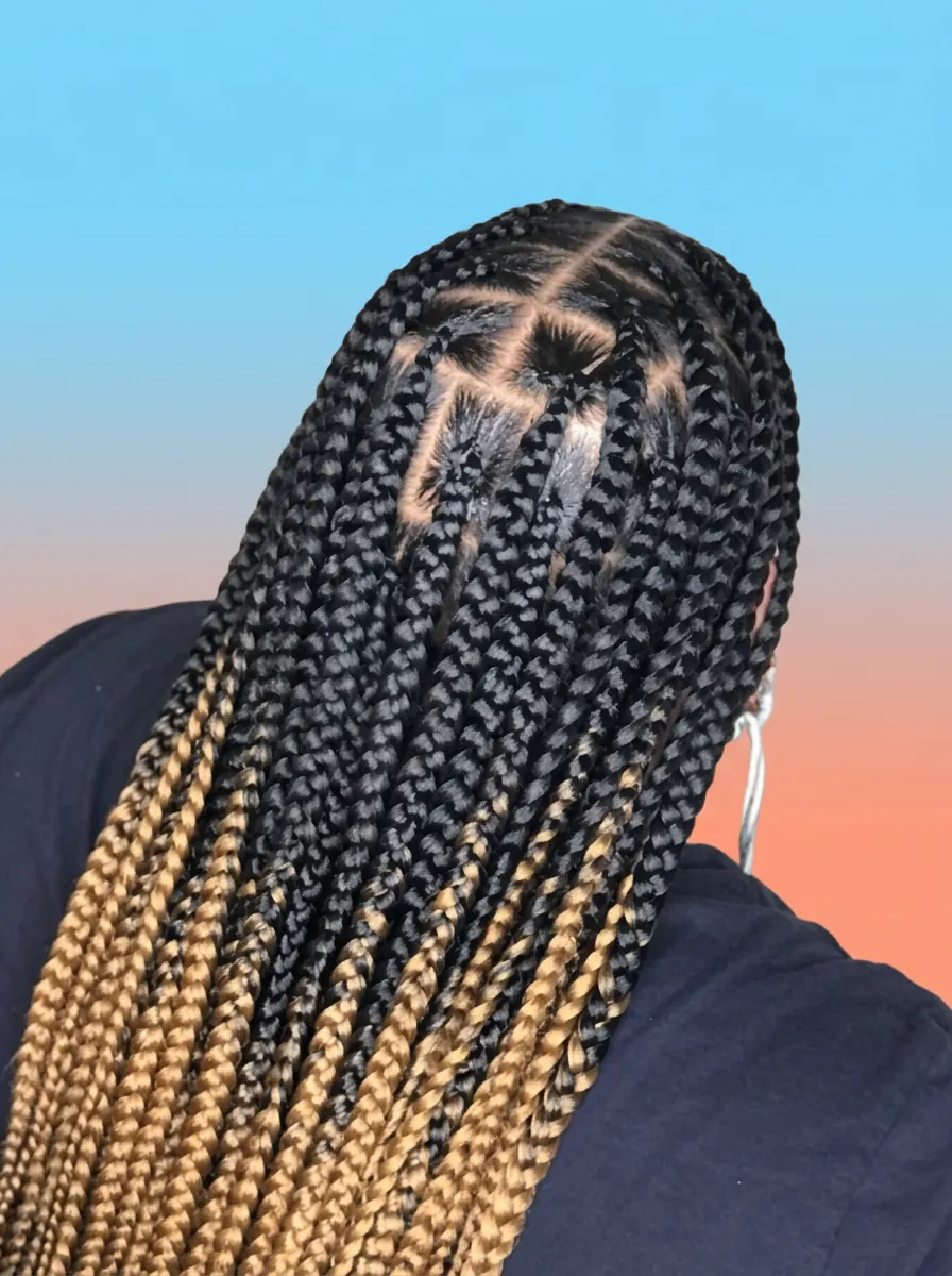 Medium Regular Knotless Braids by Black Diamants Hairbraiding